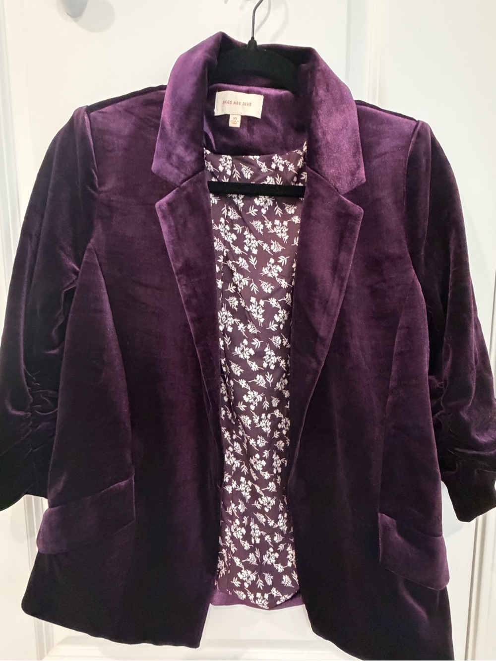 Skies Are Blue Velvet Blazer in Plum Purple